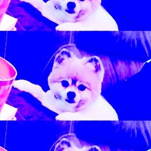 LOTS MORE TO COME! MICHAELKORS... 👖... TYEDYE ,